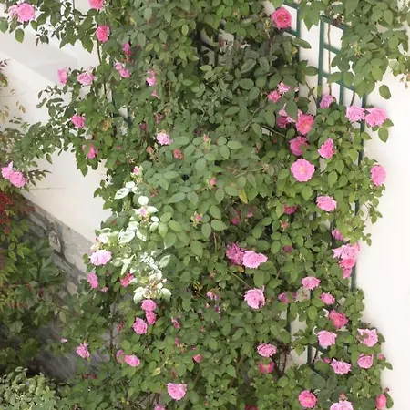 Maïtagaria Hotel 3*